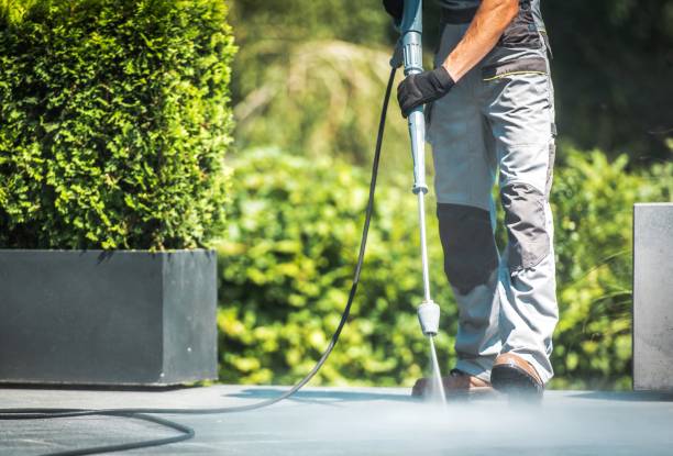 Spring Cleaning in Palatine, IL