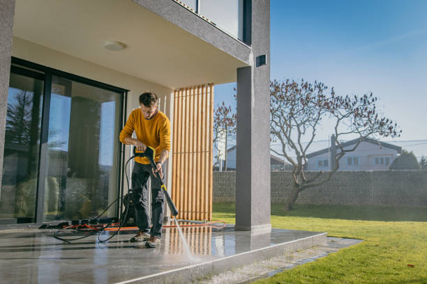 Best Sidewalk and Walkway Cleaning  in Palatine, IL