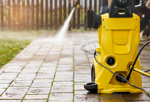 Best Fence Cleaning  in Palatine, IL