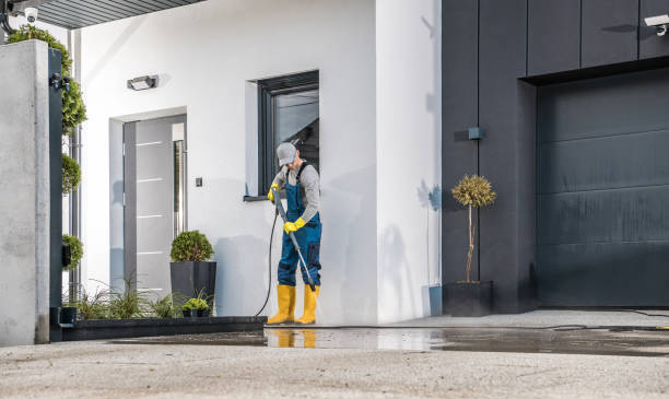 Best Sidewalk and Walkway Cleaning  in Palatine, IL